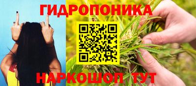 кокс Вышний Волочёк