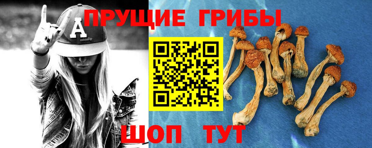 Новотроицк  Галлюциногенные грибы мицелий  Вход с VPN 